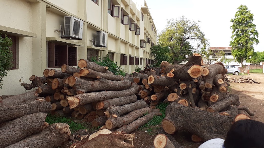 Nilkanth Timber