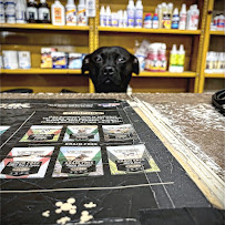 Ace Pet Shop - Photo 2 - Car repair in Newark, NJ, Staten Island