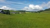 Bühlhof Logo, Titisee-Neustadt, Germany, Farm