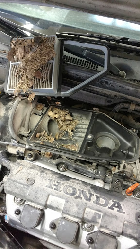 Auto Repair Shop «Certified Tractor Auto Repair», reviews and photos, 14132 Worden Rd, Gregory, MI 48137, USA