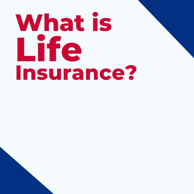 Farmers Insurance - Michael Wilusz