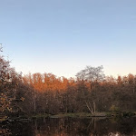 Photo n°4 de l'avis de Norbert.t fait le 12/11/2023 à 18:31 sur le  Dalheimer Mühle à Wegberg