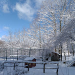 Photo n°5 de l'avis de francesca.a fait le 26/02/2022 à 13:30 sur le  Agriturismo Cà Gabrielli à Lizzano in Belvedere