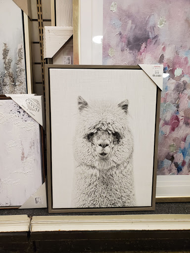 Department Store «HomeGoods», reviews and photos, 9 Kilton Rd, Bedford, NH 03110, USA