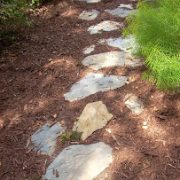 AYERS LANDSCAPE MANAGEMENT LLC. - Photo 4 - Car repair in Augusta, GA, Augusta