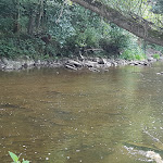 Photo n°6 de l'avis de Peter.r fait le 19/07/2018 à 00:12 sur le  Restaurant Am alten Wasserwerk à Bad Neuenahr-Ahrweiler