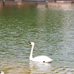 Photo n°2 de l'avis de Maddalena.e fait le 22/05/2022 à 07:37 sur le  Hotel NH Milano 2 à Segrate