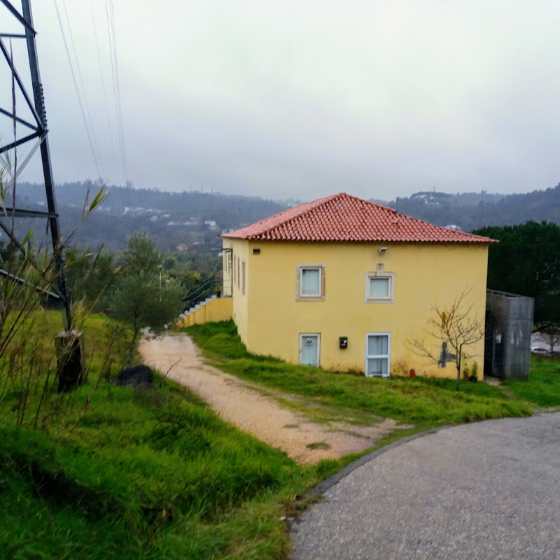 3 image