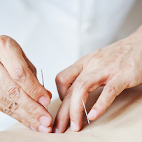 Gentle Point Acupuncture | Herbal Medicine | Bodywork - Photo 2 - Car repair in Portland, OR, Portland