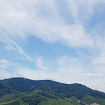 Photo n°6 de l'avis de Fredy.u fait le 22/07/2020 à 18:37 sur le  Château de Staufenberg à Durbach