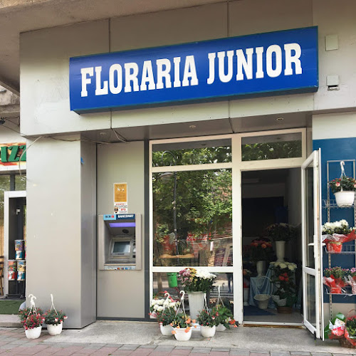 Florăria Junior