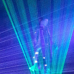 Photo n° 9 de l'avis de Erwan.e fait le 17/12/2018 à 07:31 pour National Palace Cabaret Cirque à Vierzon