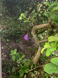 Deltona Sprinkler Repair - Photo 6 - Car repair in , Deltona