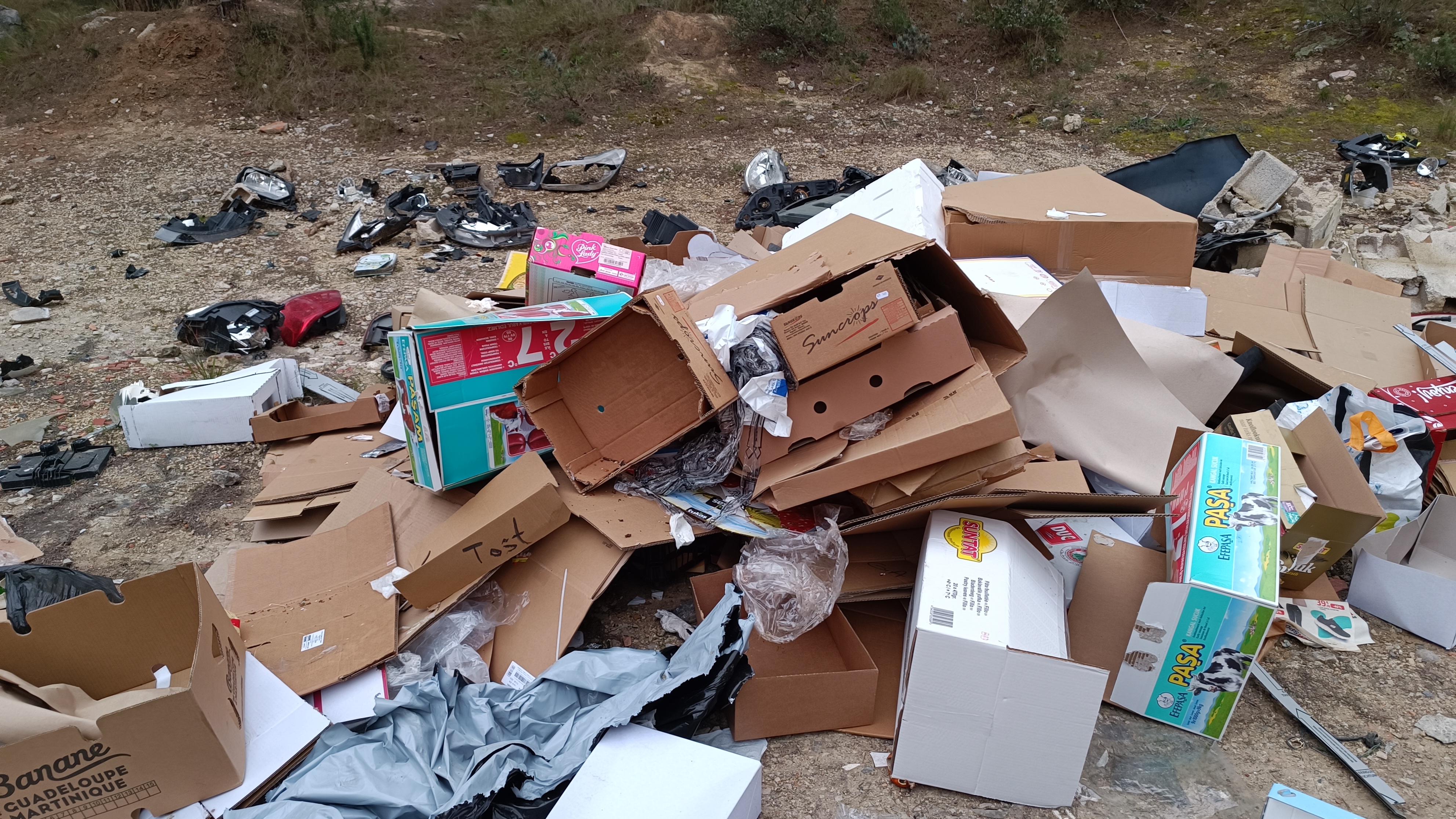 Photo n° 2 de l'avis de JM. fait le 23/03/2024 à 12:52