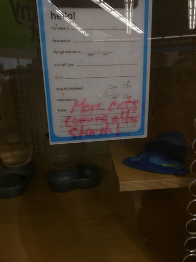 Pet Supply Store «Petco Animal Supplies», reviews and photos, 839 New York Ave, Huntington, NY 11743, USA