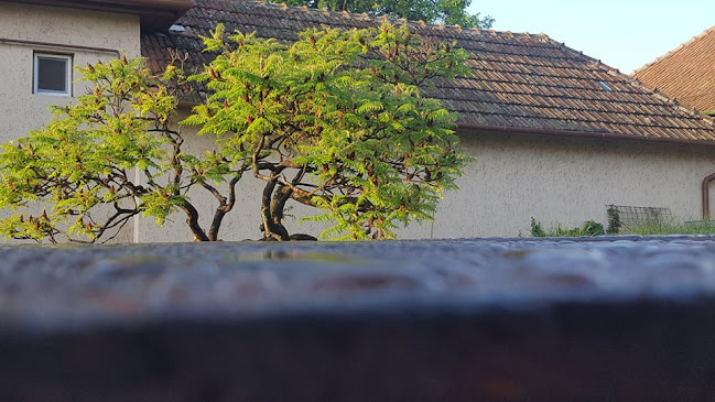 Viktória Vendégház Békéscsaba - Parkoló