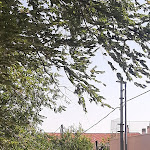 Photo n°3 de l'avis de Gata. fait le 21/08/2023 à 15:58 sur le  Il Passante à San Giovanni Rotondo