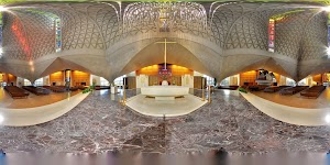 Cathedral of Saint Mary of the Assumption - photo 97