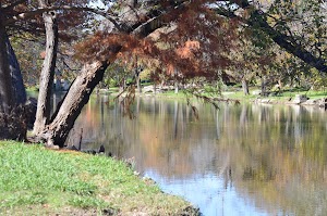 Memorial Park - photo 86