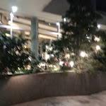 Photo n°3 de l'avis de Roberto.i fait le 04/09/2019 à 22:18 sur le  Farina&Co. à Bergamo