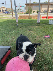 Sit Means Sit West Houston - Photo 7 - Car repair in Sugar Land, TX, Sugar Land