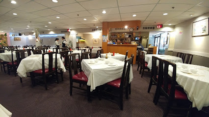 New Treasure Restaurant - 150 Dundas St W, Toronto, ON M5G 1C6, Canada