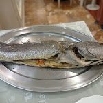 Photo n°2 de l'avis de Maria.a fait le 23/04/2024 à 07:38 sur le  Hotel Astigiana à Varazze