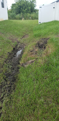 Anthony Cameron Lawn Service - Photo 8 - Car repair in , Cape Coral