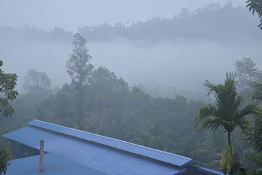 Ahinsa Tea Factory
