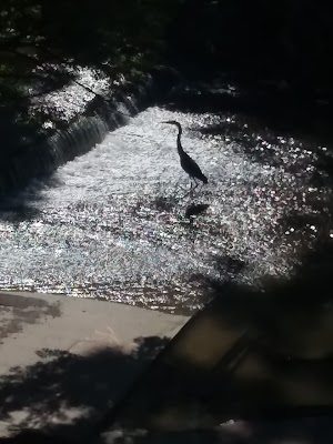 Jim Grimm Park - photo 8