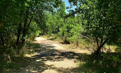 Lower Purgatory Trailhead