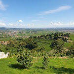 Photo n°1 de l'avis de claudio.i fait le 29/07/2023 à 17:19 sur le  Red Zone Art Bar à San Giorgio di Valpolicella