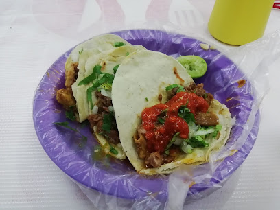 Tacos Placido Tripa y Barbacoa