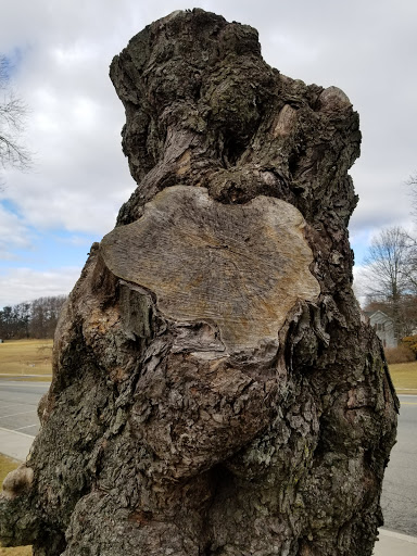 Western Apparel Store «Outback Trading Company Store - Oxford», reviews and photos, 29 S 3rd St, Oxford, PA 19363, USA