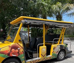 Bali Zoo photo