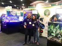 Pecan Grove Solutions - Photo 5 - Car repair in Pearland, TX, Pearland