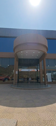 التوكيلات العالمية للسيارات
