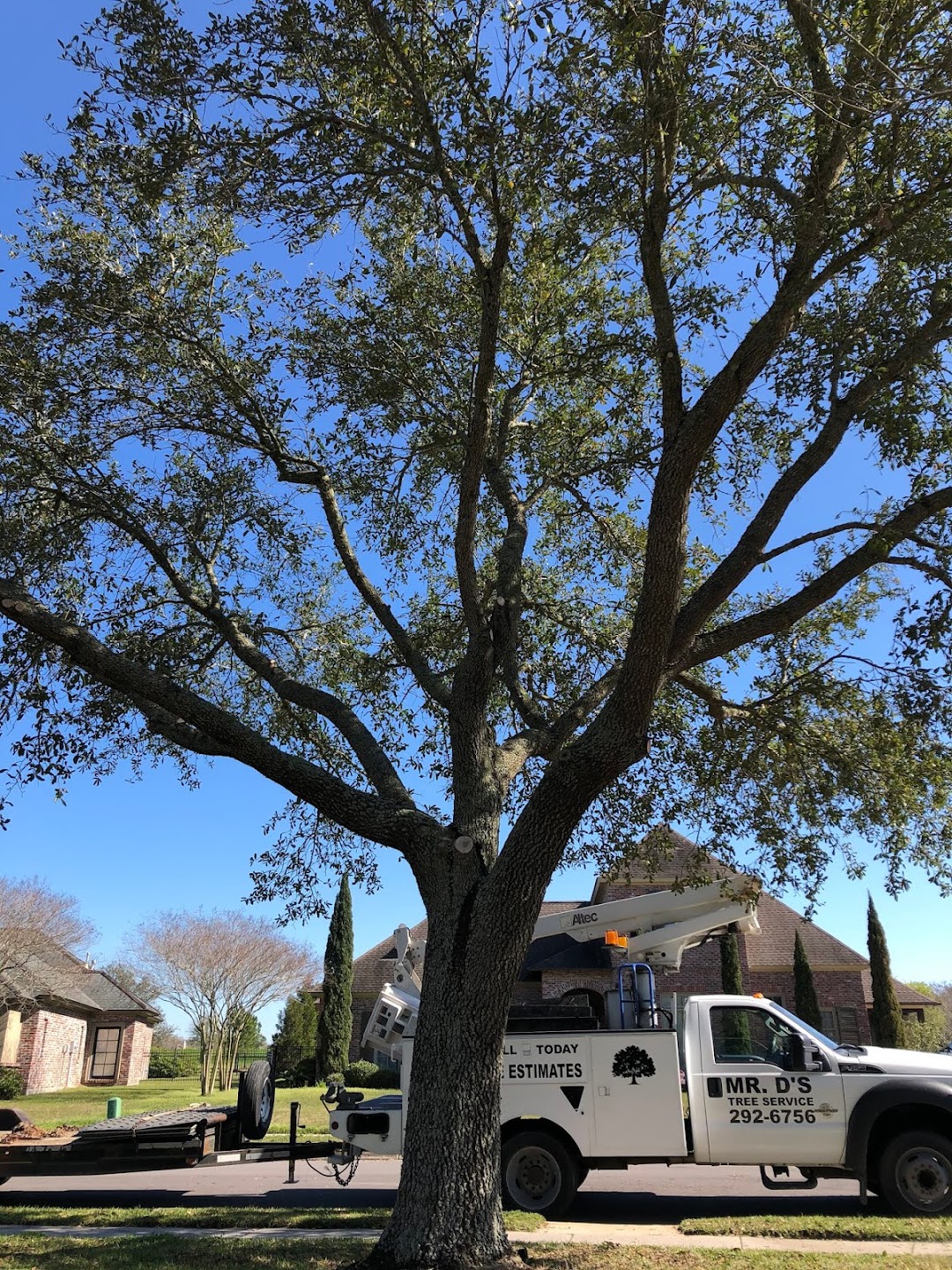 Mr Ds Tree Services