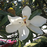 Photo n°4 de l'avis de Hope8.e fait le 09/07/2021 à 14:57 sur le  Esplanada Jardim à Porto de Mós