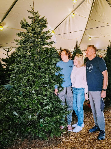 Valley View Christmas Trees