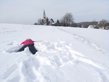 Ffw Fürstenau