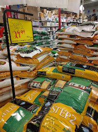 Ollie's Bargain Outlet - Photo 4 - Car repair in Raleigh, NC, Raleigh