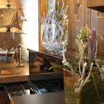 Photo n°2 de l'avis de Dennis.o fait le 23/06/2018 à 14:40 sur le  Schiffergesellschaft à Lübeck