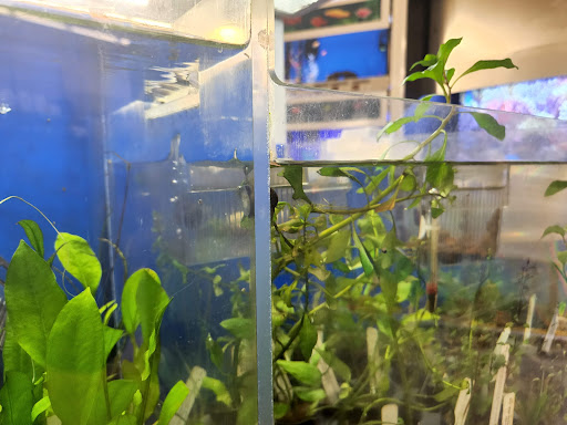 Pet Supply Store «Petco Animal Supplies», reviews and photos, 1015 Fording Island Rd, Bluffton, SC 29910, USA