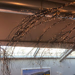 Photo n°3 de l'avis de denisa.a fait le 07/12/2023 à 22:18 sur le  Ristorante Cervo à Como