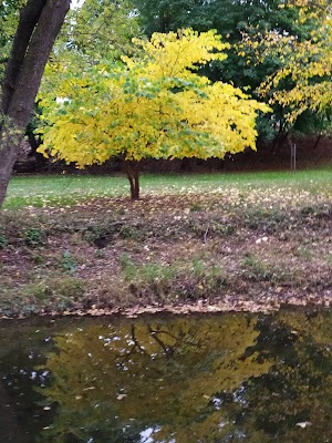 Goffle Brook Park - photo 58