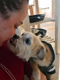 Luv My Sitter - Photo 9 - Car repair in , Round Rock