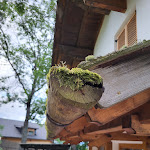 Photo n°4 de l'avis de Carina.x fait le 14/08/2023 à 06:10 sur le  Gasthaus Tomanegger à Jenesien