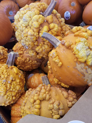 Health Food Store «Sprouts Farmers Market», reviews and photos, 4020 S Rainbow Blvd, Las Vegas, NV 89103, USA