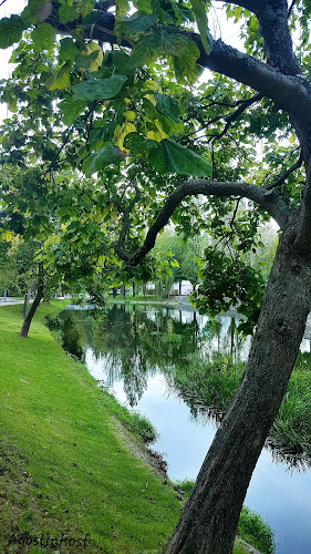 Clinica Rio Este Braga - Braga